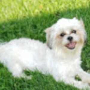 Meet your Posher, Bobbie jo